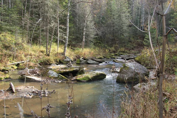 Zlatý podzim v Altajském kraji v Rusku. Krásná krajina - road v podzimním lese — Stock fotografie