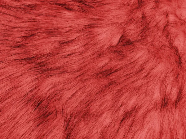 Living coral fur texture closeup for background. — Stock Photo, Image