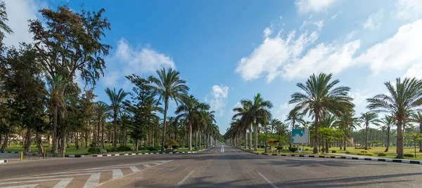 Panoramik ağaçlar ve palmiye ağaçları kısmen bulutlu gökyüzü ile bir yaz gün, Montana genel park, Alexandria, Mısır çerçeveli yol asfalt