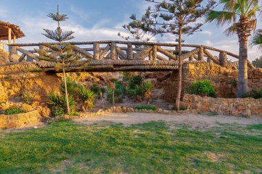 Hurma gövdeleri çalılar Montaza Park'ta yaz saati, İskenderiye, Mısır dolu bir boşluğu üzerinden yapılan ahşap köprü