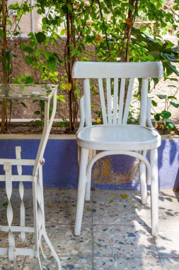 Geleneksel Mısır metal çay masa ve yeşil tırmanıcı bitki bulanık arka plan üzerinde beyaz ahşap sandalye