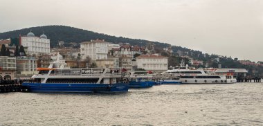 Büyükada, Prenses Adası, Feribot Terminali, yazlık evler ve yeşil dağlar, İstanbul, Türkiye