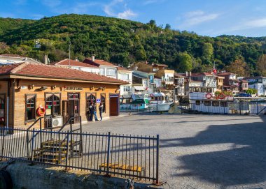 Anadolu Kavagi Feribot Terminali park halindeki feribot, ev ve yeşil dağlar, İstanbul, Türkiye