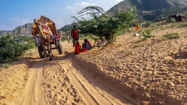 Eylül 2015 pushkar Rajasthan, Hindistan thar Çölde deve safari. Eylül 2015