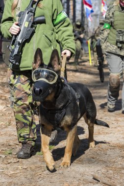 Poltava, Ukrayna - 16 Mart 2019: Oyun - İrlanda Ulusal ordu Protestanlar ve airsoft oyun, İngiliz düzenli ordu arasındaki düşmanlıklar taklidi.