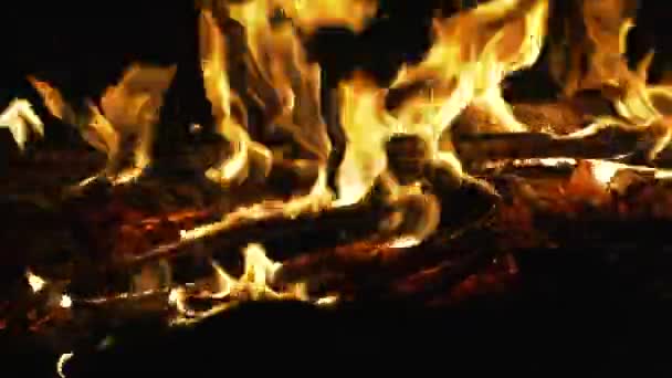 Burning Fire Oven Baking Bread — Stock Video