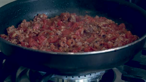 Spagetti Med Bolognesesaus Sammensetningen Kjøttfersken Tomater Olivenolje Urter Spagetti Med – stockvideo