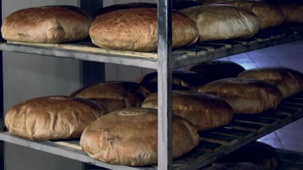 乌克兰传统面包在烤箱中煮熟 在木材上 没有防腐剂 填料和染料 — 图库视频影像