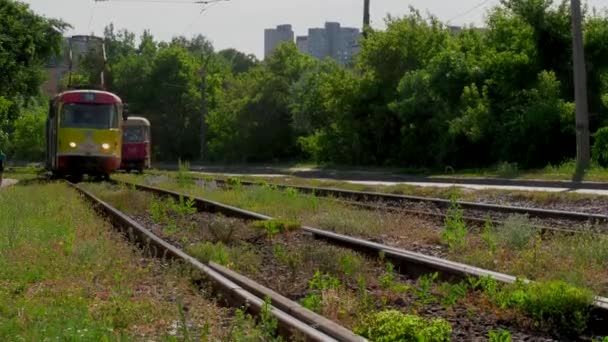 Kharkiv Ucraina Giugno 2019 Vecchi Tram Sovietici Che Attraversano Strade — Video Stock