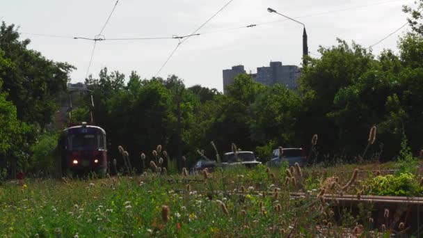 Kharkiv Ucraina Giugno 2019 Vecchi Tram Sovietici Che Attraversano Strade — Video Stock