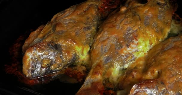 Kochen Dorado Fisch Einer Cremigen Sauce Ohne Gmo — Stockvideo