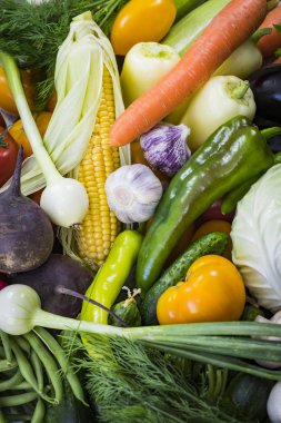 Avrupa 'nın ekolojik olarak temiz bölgelerinde pestisitler olmadan yetiştirilen GMOS olmadan organik sebzelerden arka plan.