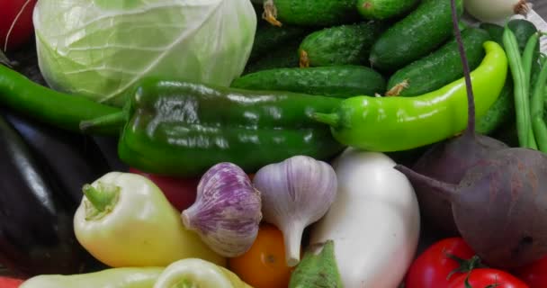 ヨーロッパの生態学的にきれいな地域で農薬なしで栽培されたGmosのない有機野菜の背景 — ストック動画