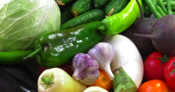 ヨーロッパの生態学的にきれいな地域で農薬なしで栽培されたGmosのない有機野菜の背景 — ストック動画