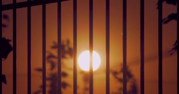 Batan Yaz Güneşinin Arka Planına Karşı Hapishane Çit Kafesi — Stok video