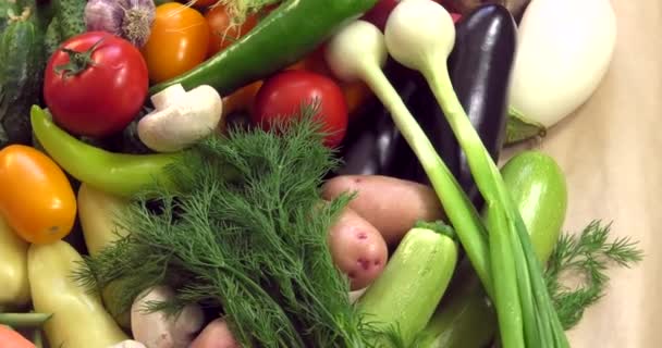 Contexte Partir Légumes Biologiques Sans Ogm Cultivés Sans Pesticides Dans — Video