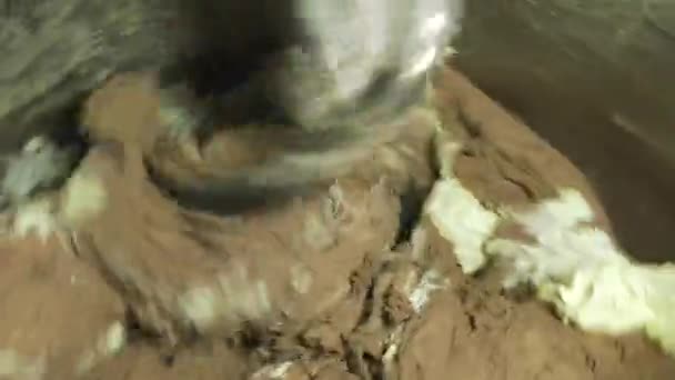 充填剤および防腐剤なしの有機非Gmoパンのための機械生地の混練プロセス — ストック動画