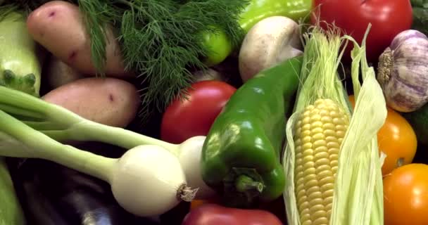 Pozadí Organické Zeleniny Bez Gmo Pěstovaných Bez Pesticidů Ekologicky Čistých — Stock video
