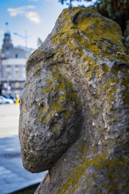 Antik Iskit Slavları Ix-Xiii yüzyılların Kharkov taş putlarının şehir merkezinde arkeolojik alanlar. Ukrayna'nın Karadeniz bozkırlarında bulundu.