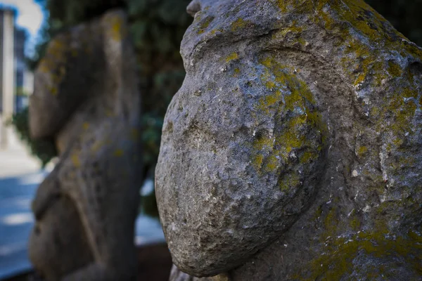 Antik Iskit Slavları Ix-Xiii yüzyılların Kharkov taş putlarının şehir merkezinde arkeolojik alanlar. Ukrayna'nın Karadeniz bozkırlarında bulundu.