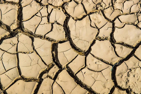 Cracked earth in severe drought of the global warming planet.