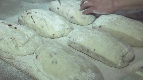 Чоловік Одягає Хліб Ручної Роботи Руками Пекарню — стокове відео