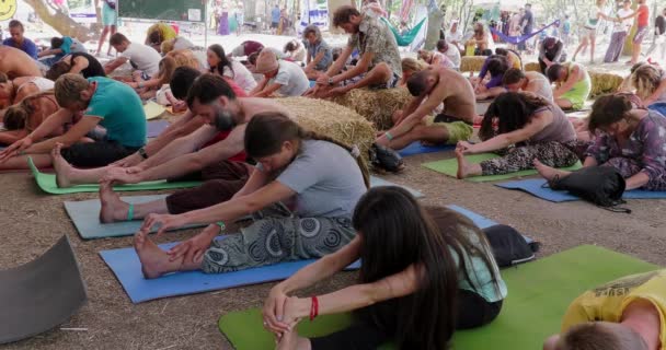 乌克兰奥德萨 2019年8月18日 在自然背景下 在自我发展节 童话之城 的团体瑜伽 — 图库视频影像