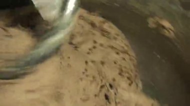 Dolgu maddeleri ve koruyucular olmadan organik GMO olmayan ekmek için makine hamur yoğurma süreci.