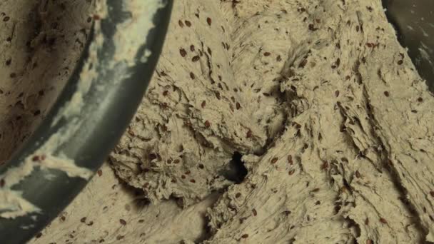 Ciasto Maszynowe Proces Ugniatania Dla Organicznych Nie Gmo Chleb Bez — Wideo stockowe