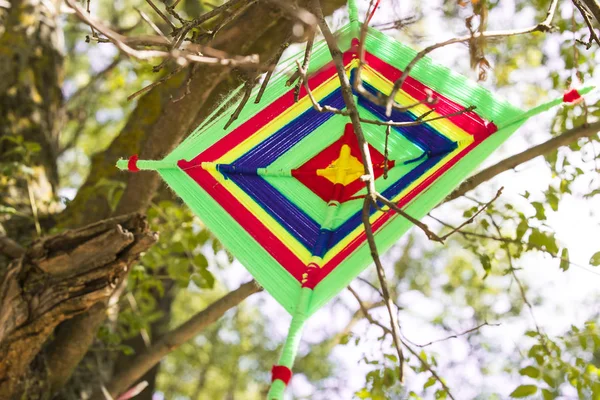 Tibetan Mandala Knitting Thread Branches Green Tree — Stock Photo, Image