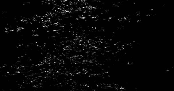 Black Abstract Background Gray Moving Noise — Stock Video