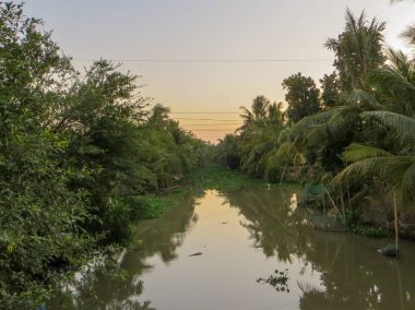Vietnamca köyün nehirde. Kıyı boyunca ağaçlar ve palmiye ağaçları büyümek.