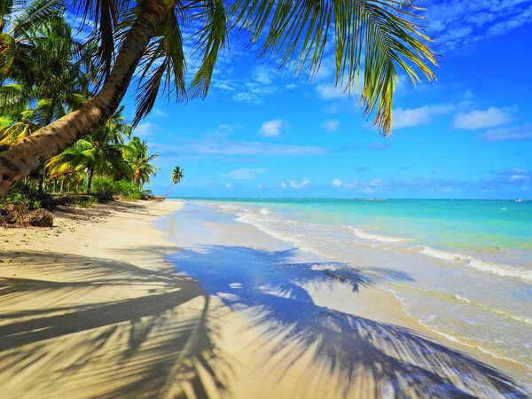 Vacation on deserted beach in Brazil. Sao Miguel dos Milagres, Alagoas, Brazil. Riacho's and Lage's beaches. Fantastic landscape. Great beach scene. Paradise beach. Brazillian Caribbean.