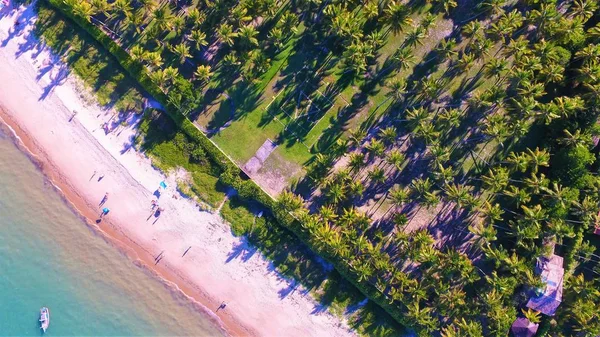 Arraia Ajuda Bahia Βραζιλία Αεροφωτογραφία Του Μια Όμορφη Παραλία Κρυστάλλινα — Φωτογραφία Αρχείου