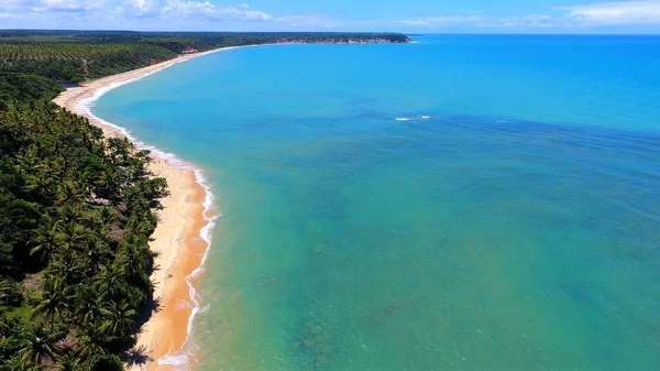 Вид Воздуха Пляж Караива Баия Бразилия Пляж Двумя Цветами Воды — стоковое фото