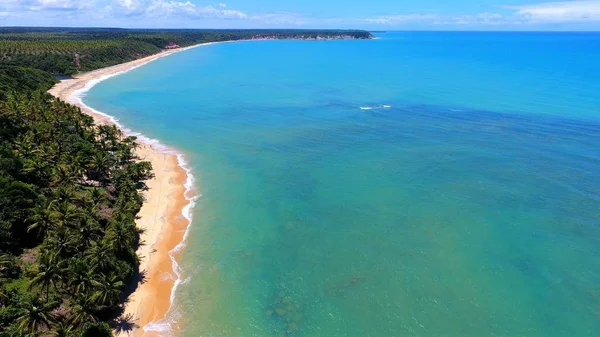 Vista Aérea Playa Caraiva Bahía Brasil Playa Con Dos Colores — Foto de Stock