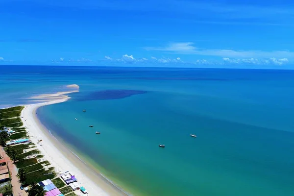 巴西巴伊亚科鲁姆博海滩鸟图 美妙的风景 伟大的海滩场景 旅行目的地 热带旅行 度假旅行 天堂海滩 — 图库照片