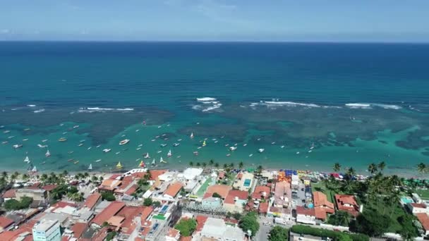 Porto Galinhas Beach Pernambuco Brezilya Hava Görünümünü Yüzme Fishs Doğal — Stok video