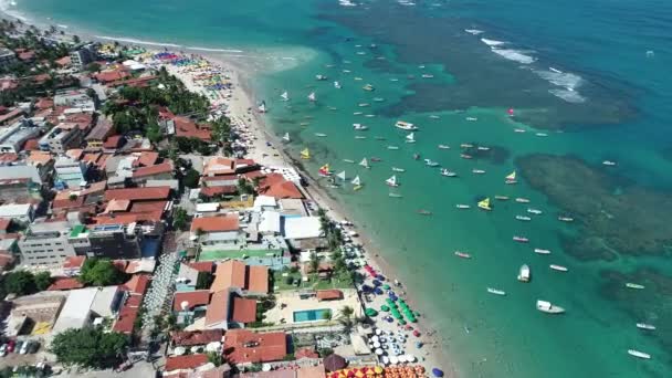 Porto Galinhas Beach Pernambuco Brezilya Hava Görünümünü Yüzme Fishs Doğal — Stok video