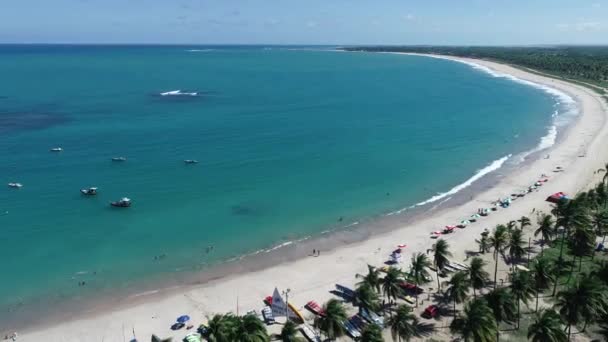 巴西伯南布哥州波尔图 德加里尼亚斯海滩的鸟图 在天然泳池中与鱼一起游泳的体验 度假旅行 热带度假 热带旅行 美丽的海滩风光 美丽的风景 旅游风景 度假风景 — 图库视频影像
