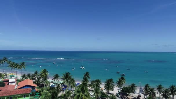 Luftaufnahme Vom Strand Von Porto Galinhas Pernambuco Brasilien Erfahrung Beim — Stockvideo