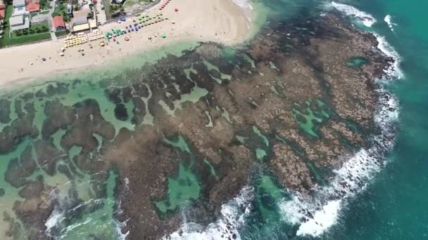 Cupe Beach Porto Galinhas Brasilien Unik Upplevelse Simning Med Fishs — Stockvideo