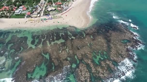 Cupe Beach Porto Galinhas Brazil Unique Experience Swimming Fishs Natural — Stock Video