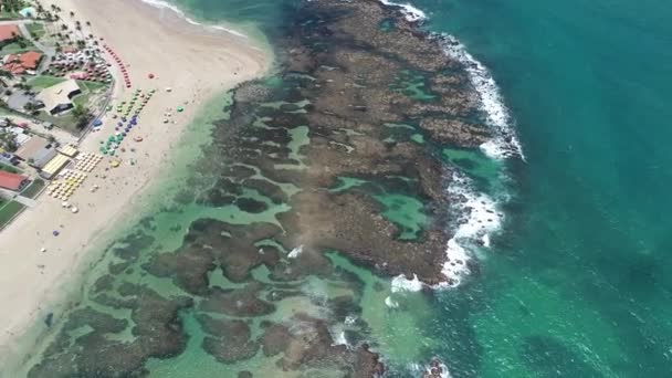 Cupe Beach Porto Galinhas Brazil Unique Experience Swimming Fishs Natural — стоковое видео