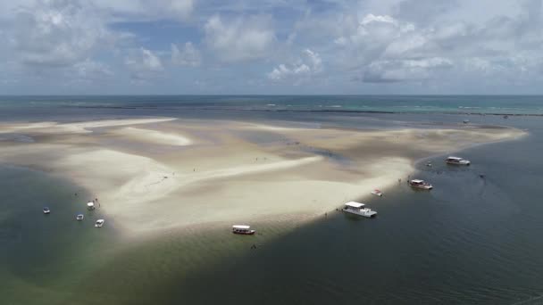Luftaufnahme Der Sandbank Des Carneiros Strandes Pernambuco Brasilien Urlaub Paradiesischen — Stockvideo