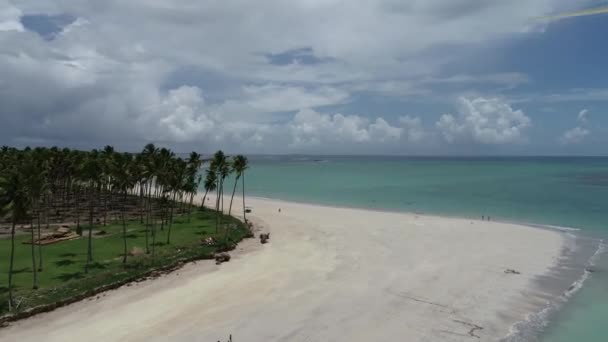 Luftaufnahme Vom Strand Von Carneiros Pernambuco Brasilien Urlaub Paradiesischen Strand — Stockvideo