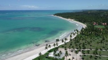 Havadan görünümü Sao Miguel DOS Milagres Beach, Alagoas, Brazil: Yüzme ile fishs doğal havuzlarda benzersiz deneyimi. Harika tatil seyahat. Büyük plaj sahnesi. Güzel manzara. Mumlar, Yelkenliler, sallar, limandaki tekneler! Büyük sahne!
