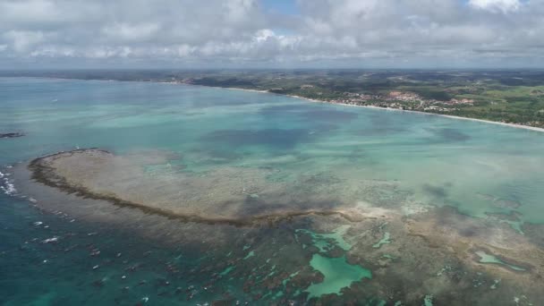 巴西阿拉戈斯的圣米格尔 多斯米拉格雷斯海滩的鸟图 在天然泳池中与鱼一起游泳的独特体验 美妙的度假旅行 伟大的海滩场景 美丽的风景 港口里的船 精彩的场景 — 图库视频影像