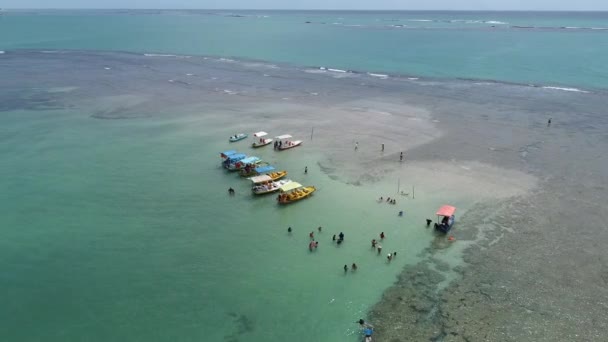 Luftaufnahme Vom Strand Sao Miguel Dos Milagres Alagoas Brasilien Einzigartiges — Stockvideo