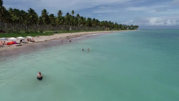 Vista Aérea Praia São Miguel Dos Milagres Alagoas Brasil Experiência — Vídeo de Stock